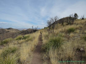 The trail down to the border from Montezuma Pass