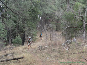 Jerry and Cheetah hiking towards Bathtub Spring in the Huachuca Mountains.