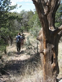 Shaun, Raquel, Cheetah and Jerry hiking on AZT Passage 2.