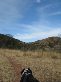 Bessie leading the way on AZT Passage 3.