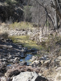 Below the Cott Tank Drainage on AZT Passage 3.