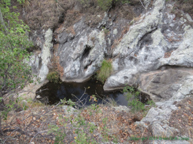 A water hole in Temporal Gulch.