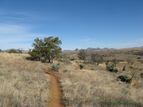 Shaun, Cheetah and Raquel hiking along AZT Passage 5.