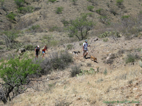 Raquel, Cheetah and Jerry with the dogs on Passage 6.