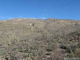 Tanque Verde Ridge from Hope Camp Trail to Hope Camp