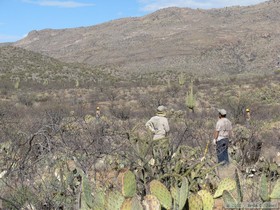 An NPS trail crew completing the connector trail to the Arizona Trail