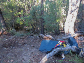 My camp under the sky at Grass Shack Campground.