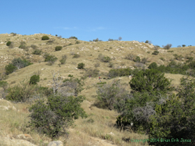 The crew hikes the rolling hills at the beginning of Passage 10