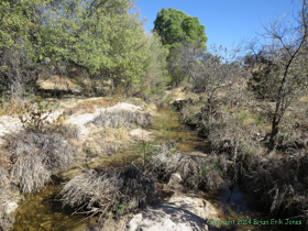 Upper Agua Caliente Creek.