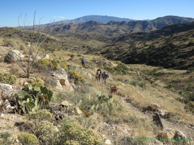 The crew on the lower slopes of the Santa Catalina Mountains.