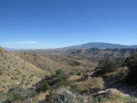 Looking back toward the Rincon Mountains.