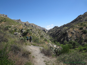 Cheetah and Jerry in upper Sabino Canyon.