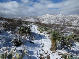 Hiking along the snow covered Arizona Trail Passage 14.