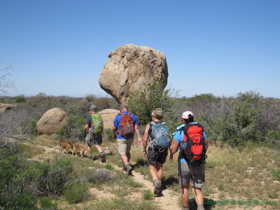 Jerry, Shaun, Cheetah and Raquel hike past a huge stone monkey head.