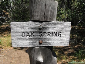 Oak Spring on AZT Passage 26.