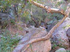 Boulder field at the confluence of Virgus Canyon and Aravaipa Canyon