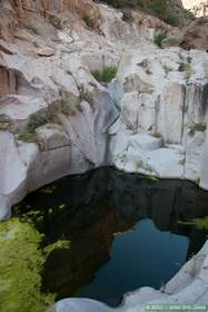 A glassy black pool in Horse Camp Canyon