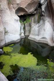 A beautiful pool and seep in Horse Camp Canyon that presented somewhat of an obstable.