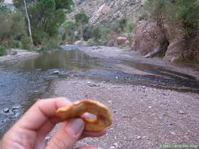 Snacking on dried apples while hiking back to camp in Aravaipa Canyon