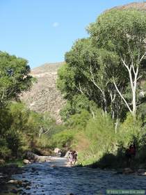 Marisa, Brian D., Mindy and Brad hiking in Aravaipa Canyon