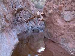 A log wedged between the canyon walls