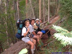 Brad, Lori, Shannon and Janet take a break on a log, apparently leaving no place for poor Pepper to sit.