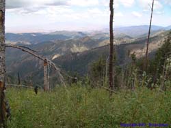 A view from Mormon Ridge Trail.