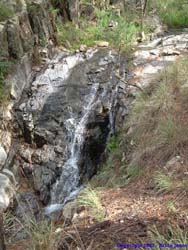 A little waterfall in Morse Canyon.