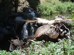 The fish dam on Fish Creek to stop non-native fish from invading the creek.