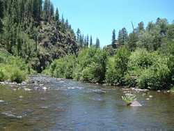 The Black River looking downstream of the Fish Creek confluence.