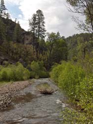 Middle Fork of the Gila River.