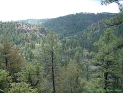 Overlooking the Middle Fork of the Gila River.