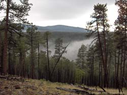 Jerry and Estevan watched a fog bank like this roll through the pass and down the valley we climbed up.