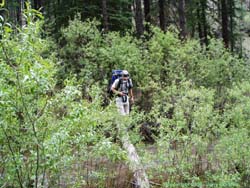 Brian using a log to cross Iron Creek.