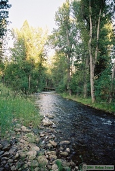 Ninemile Creek at Running Horse B&B.