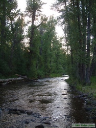 Ninemile Creek at Running Horse B&B.
