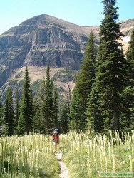 Shan hiking up to Dawson Pass through tall beargrass with Pumpelly Pillar in the background.