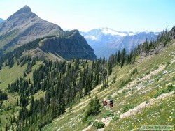 The trail just below Cut Bank Pass with Tinkham Mountain at left.