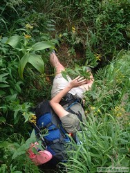 She's fallen, and she can't get up!  Shan sprawled out on the trail like a flipped turtle.