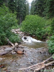 Coal Creek, near the Martha's Basin trail junction.