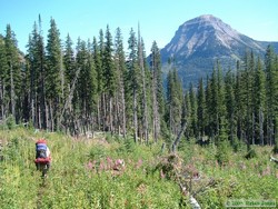 Andrea near Surprise Pass, with Mt. Phillips in the background (I think).