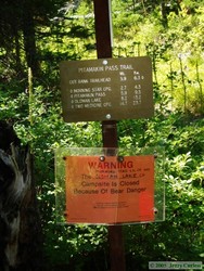 Trail sign with campground closure warning due to grizzly bears in the area.