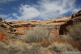 Grand Gulch below the Bullet Canyon confluence.