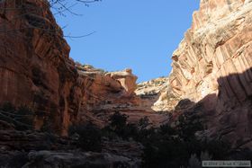 Hiking up Grand Gulch.