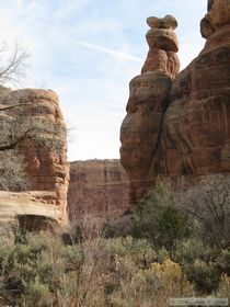 Hiking up Grand Gulch.