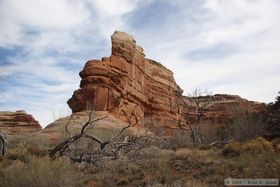 The Grand Gulch (left) - Toadie Canyon (right) confluence.