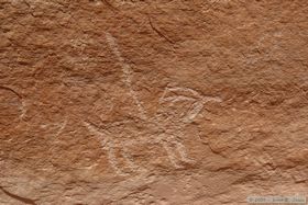 Petroglyph of a big horn with a spear in it at Turkey Pen Ruin in Grand Gulch.