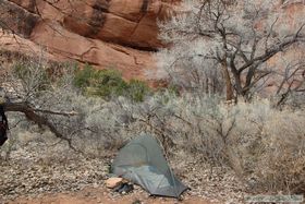 Our camp near Junction Ruin in Grand Gulch.