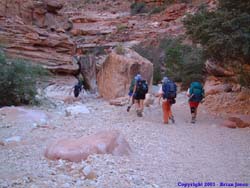 The gals:  Janet, Marisa, Shannon and Necoe make their way into the deeper part of the canyon.