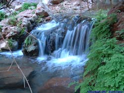 A picturesque little waterfall in a side canyon near Mooney Falls.